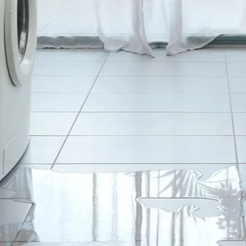 Appliance Leak Cleanup in Ridgeville, SC