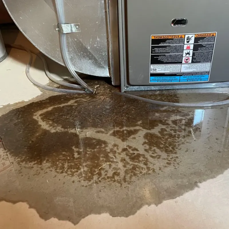 Pipe Burst and Leak Restoration in Ridgeville, SC