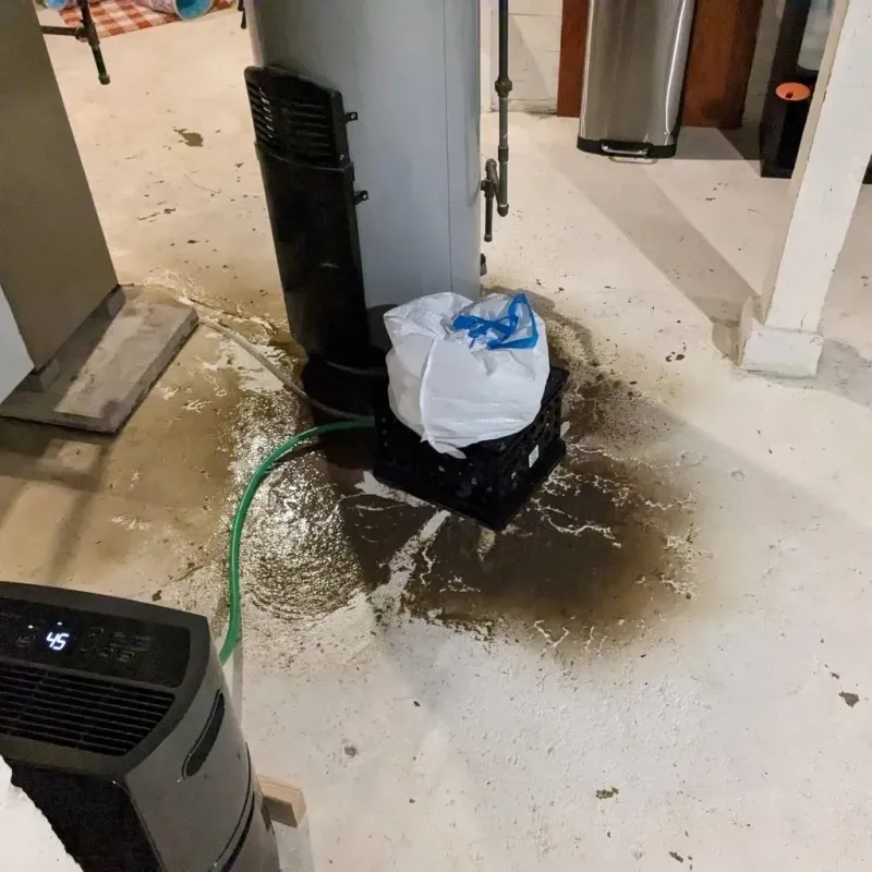 Sewage Backup Cleanup Service in Ridgeville, SC